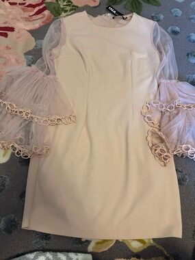 Ina Pale Pink Mini Dress with Tulle Bell Sleeves